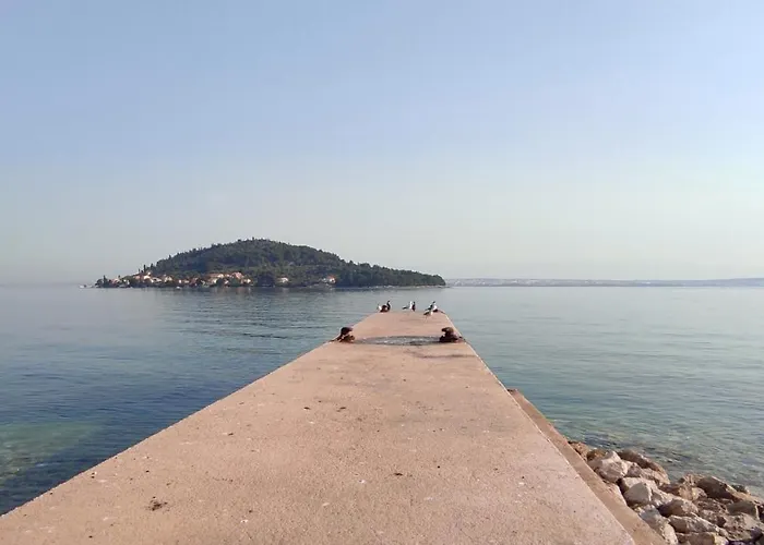 Pearl Of Kali, Island Ugljan - First Row To The Sea
