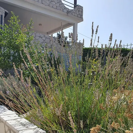 Apartamento Pearl Of Kali, Island Ugljan - First Row To The Sea *
